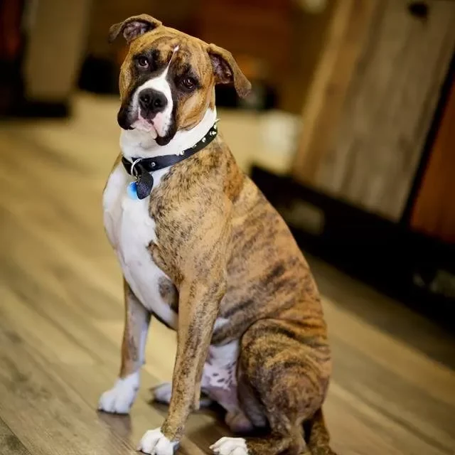 finn-website-pic-2-circle finn-website-pic-2-circle